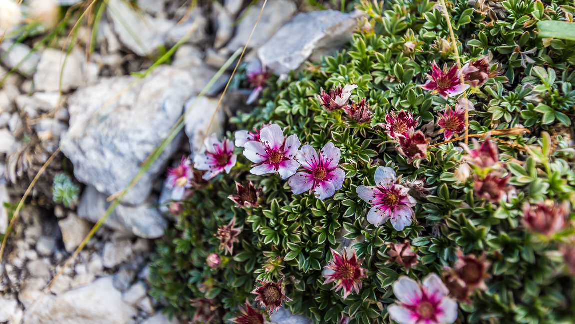 Slovénie : 3 idées de randonnées.