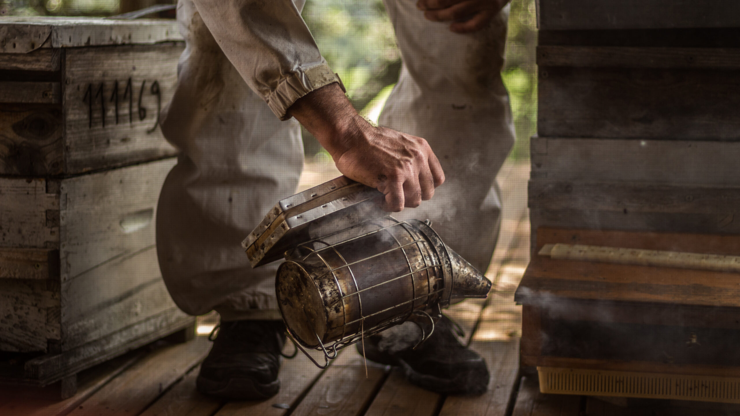 À la rencontre des artisans au cœur du Parc naturel régional de la Narbonnaise.