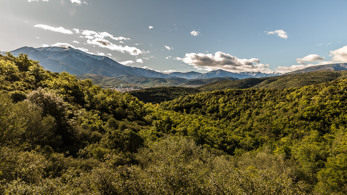 Paysages du Conflent