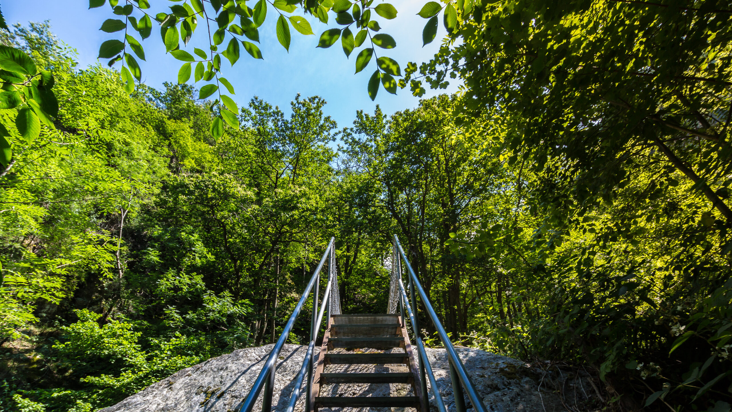 Pyrénées-Orientales : Idées de balades rafraîchissantes pour l&rsquo;été.