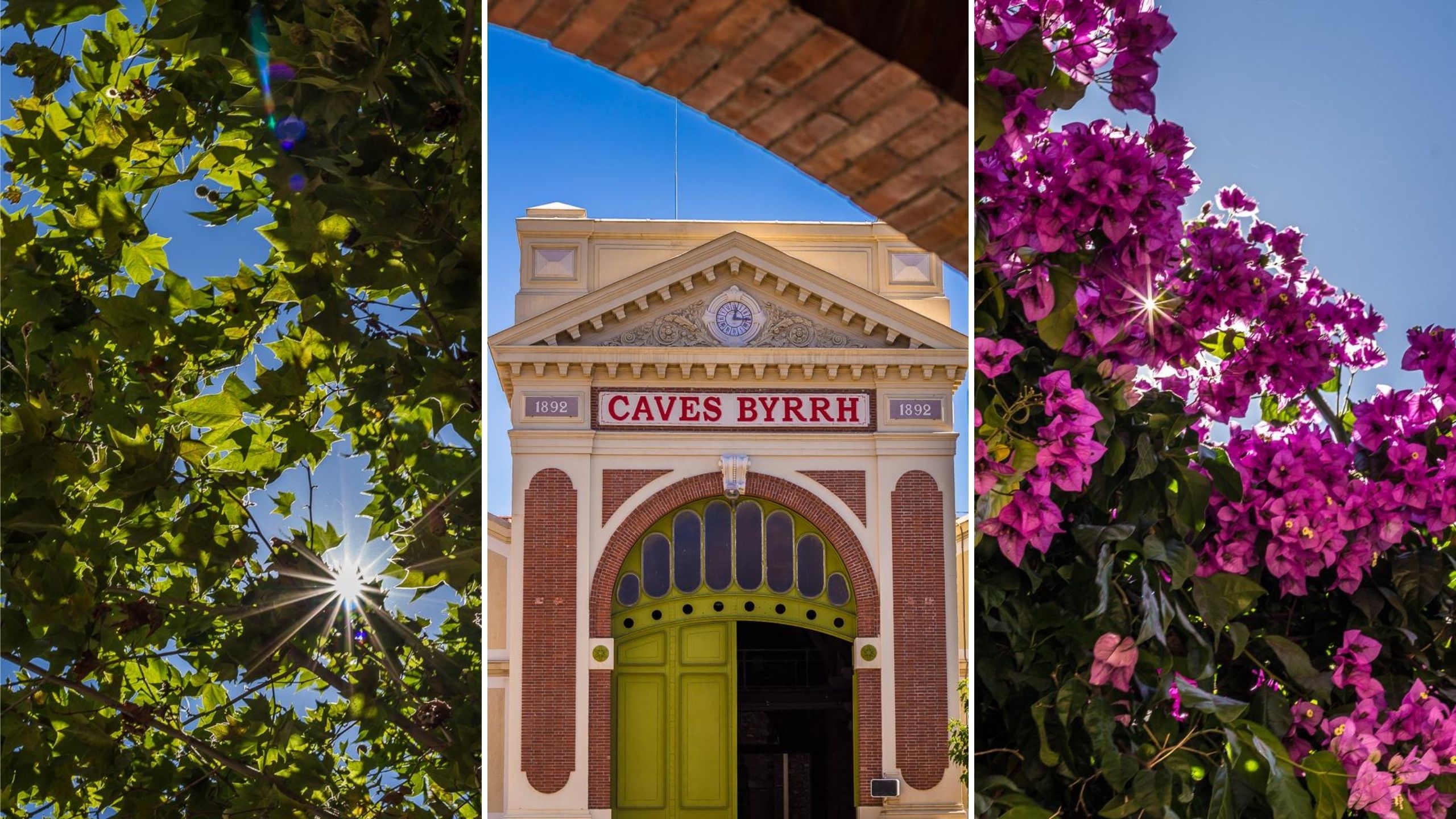 Les belles adresses à découvrir à Thuir.