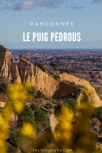 PUIG PEDROUS PINTEREST(3)