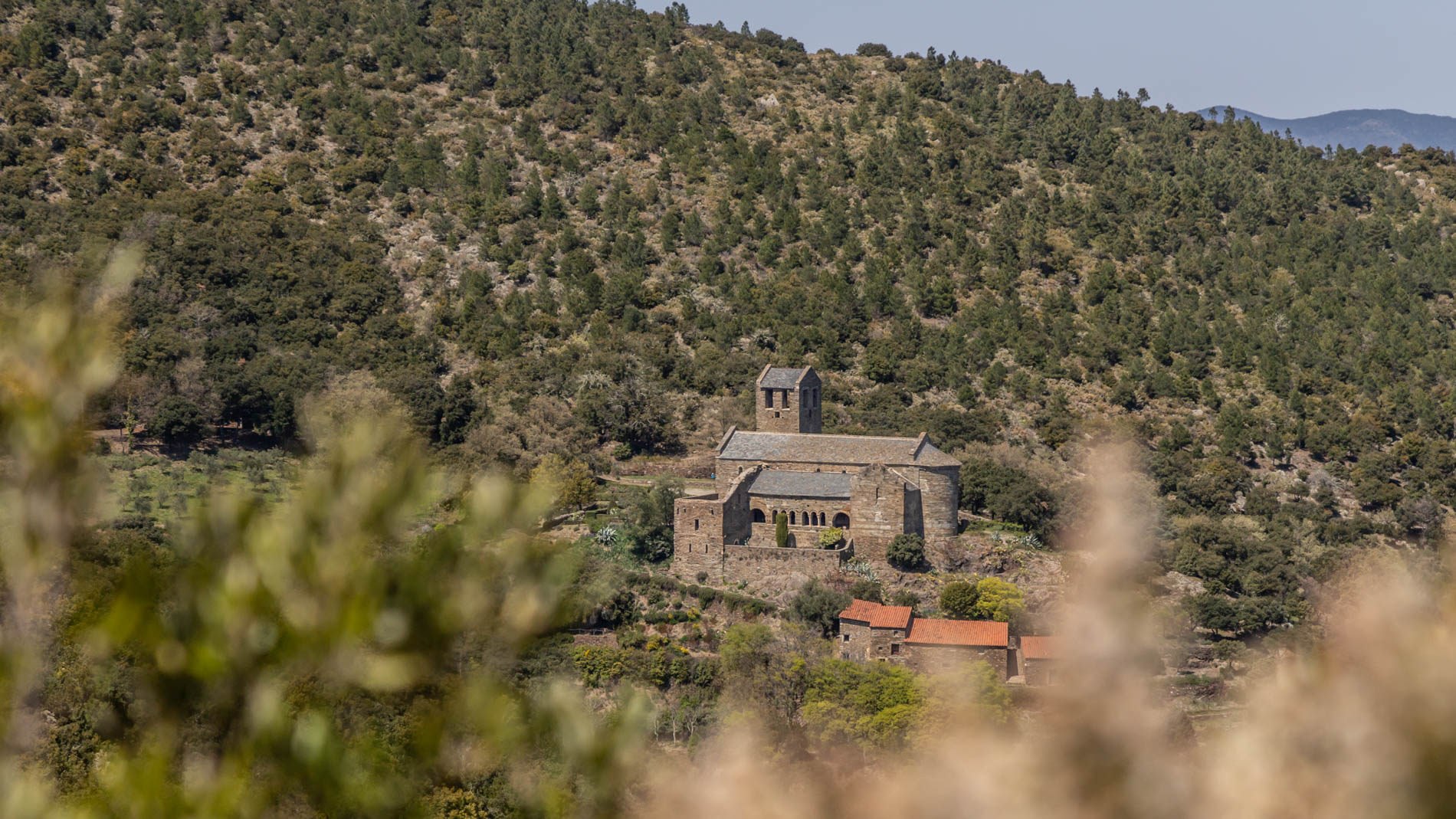 Du Prieuré de Serrabone au Col des Arques : randonnée dans les Aspres.