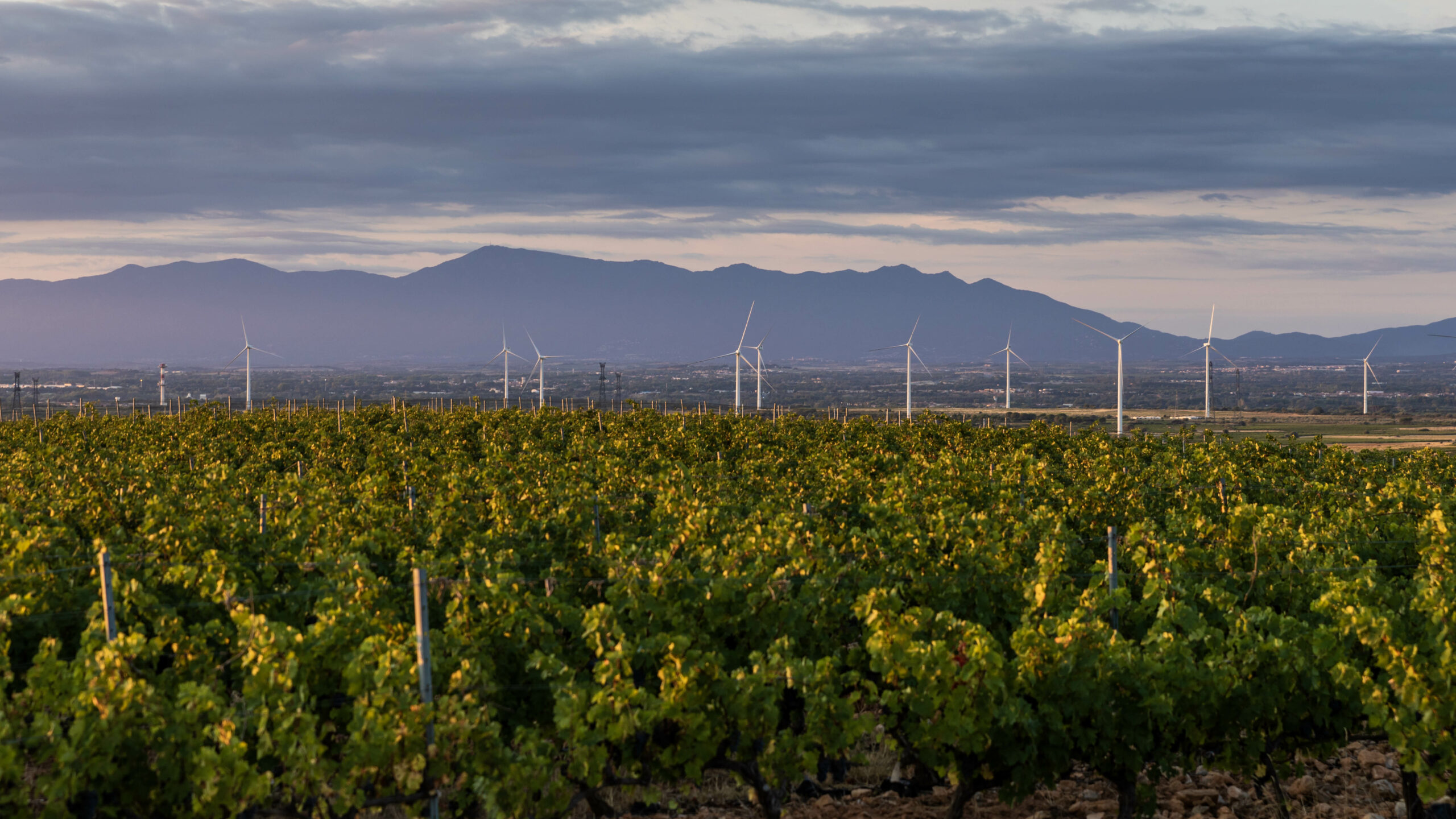 Découvrir l&rsquo;Écoparc Catalan