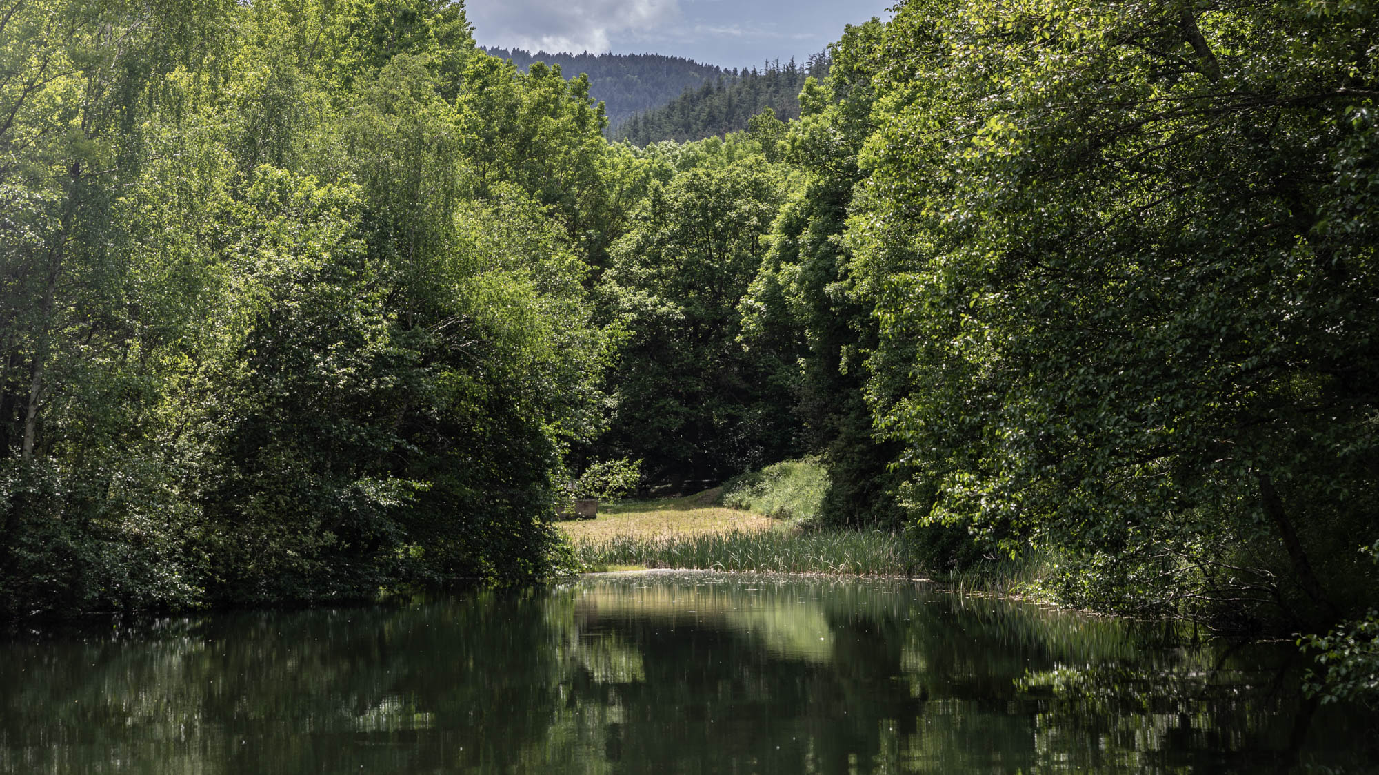 Les Gorges de Saint-Jaume & les forteresses de Fenouillet