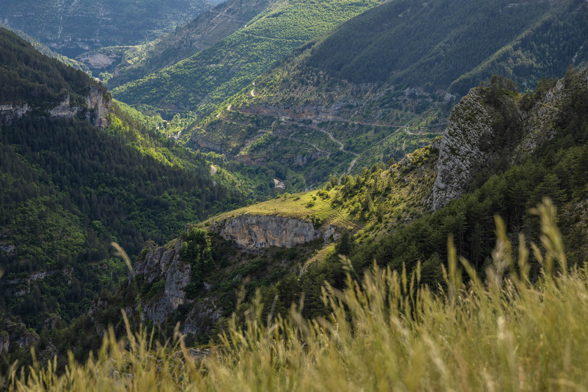 Découvrir les Gorges du Tarn en famille