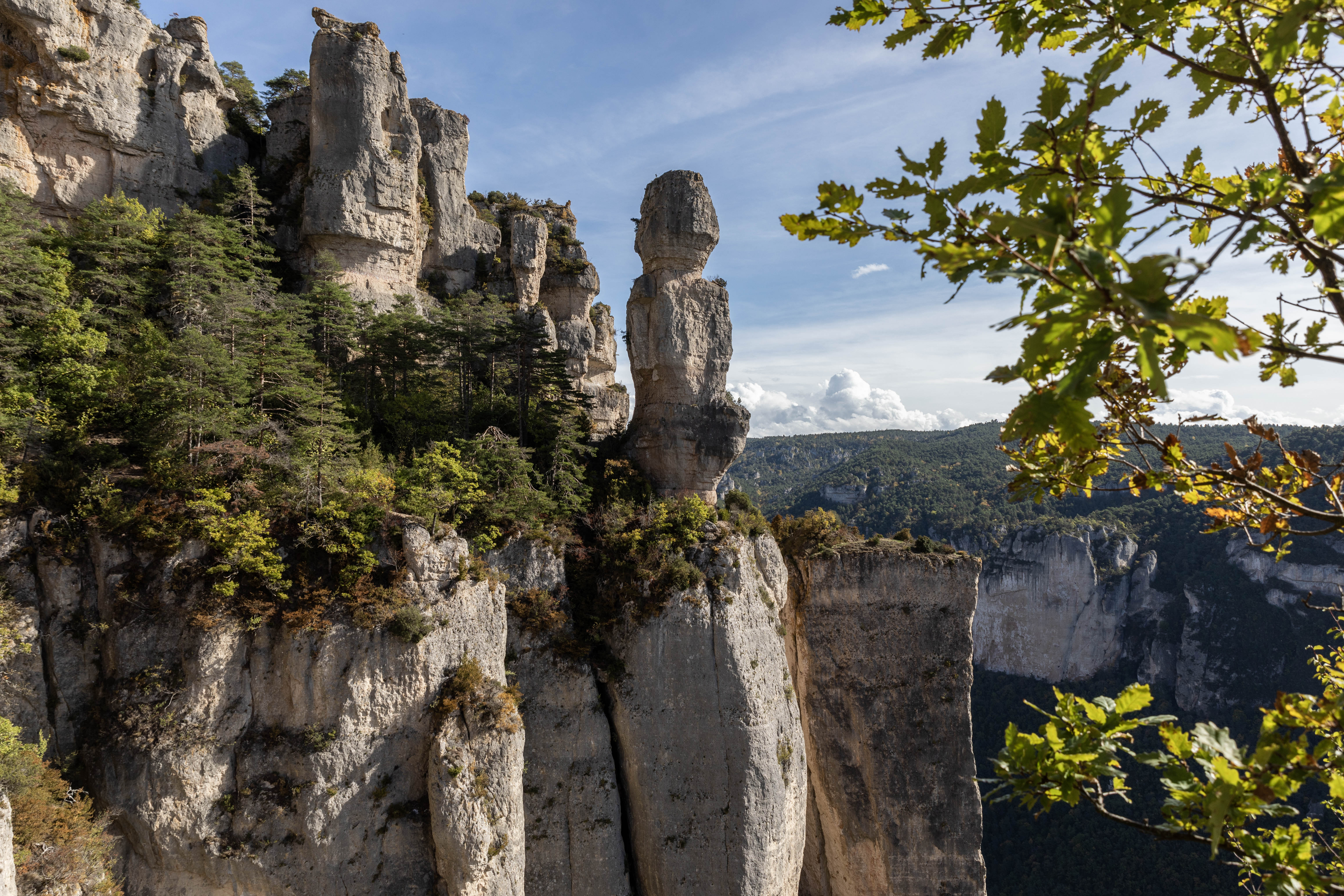 Randonnée dans les Gorges du Tarn : Les Balcons du vertige