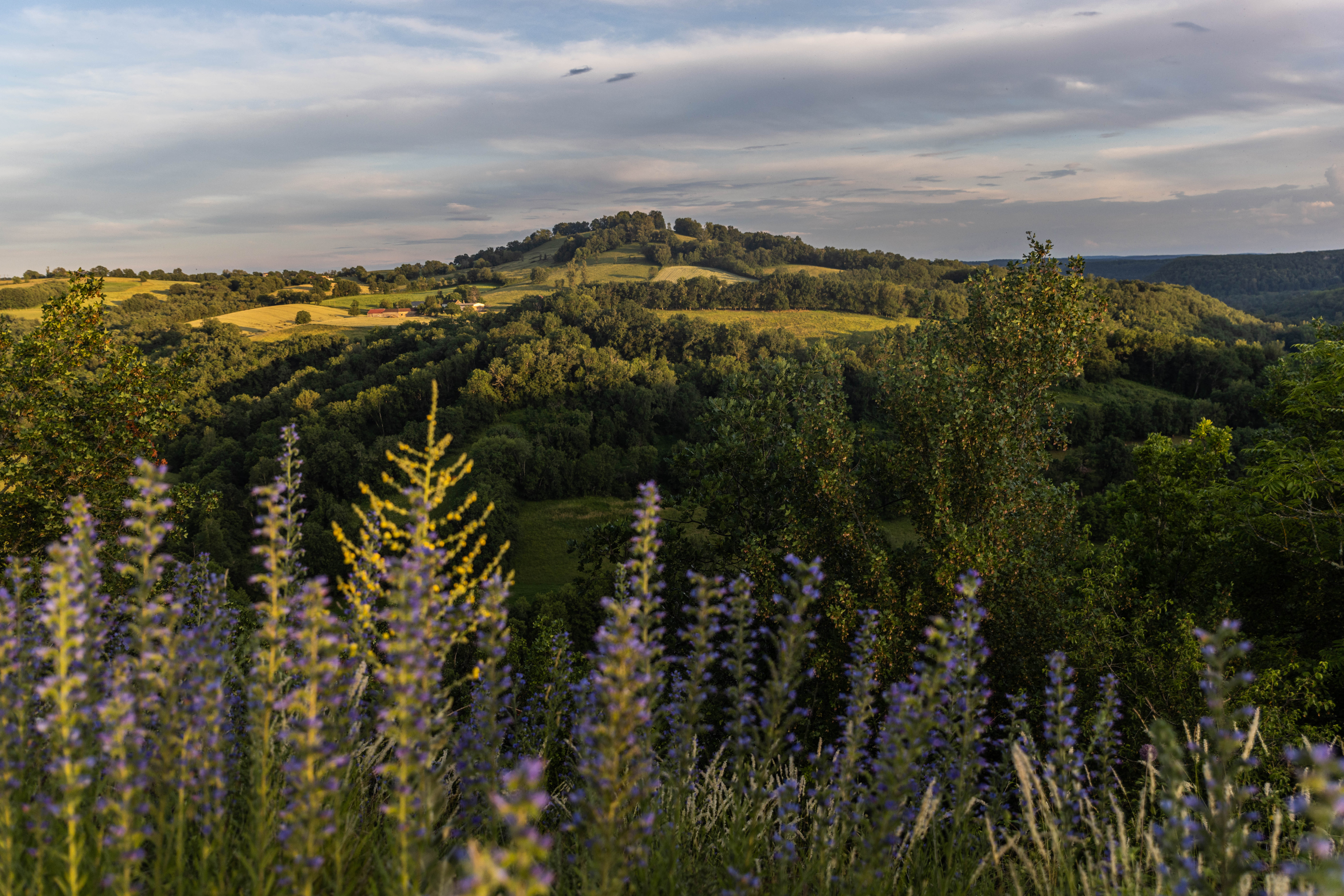 Séjour en famille au cœur du Tarn-et-Garonne