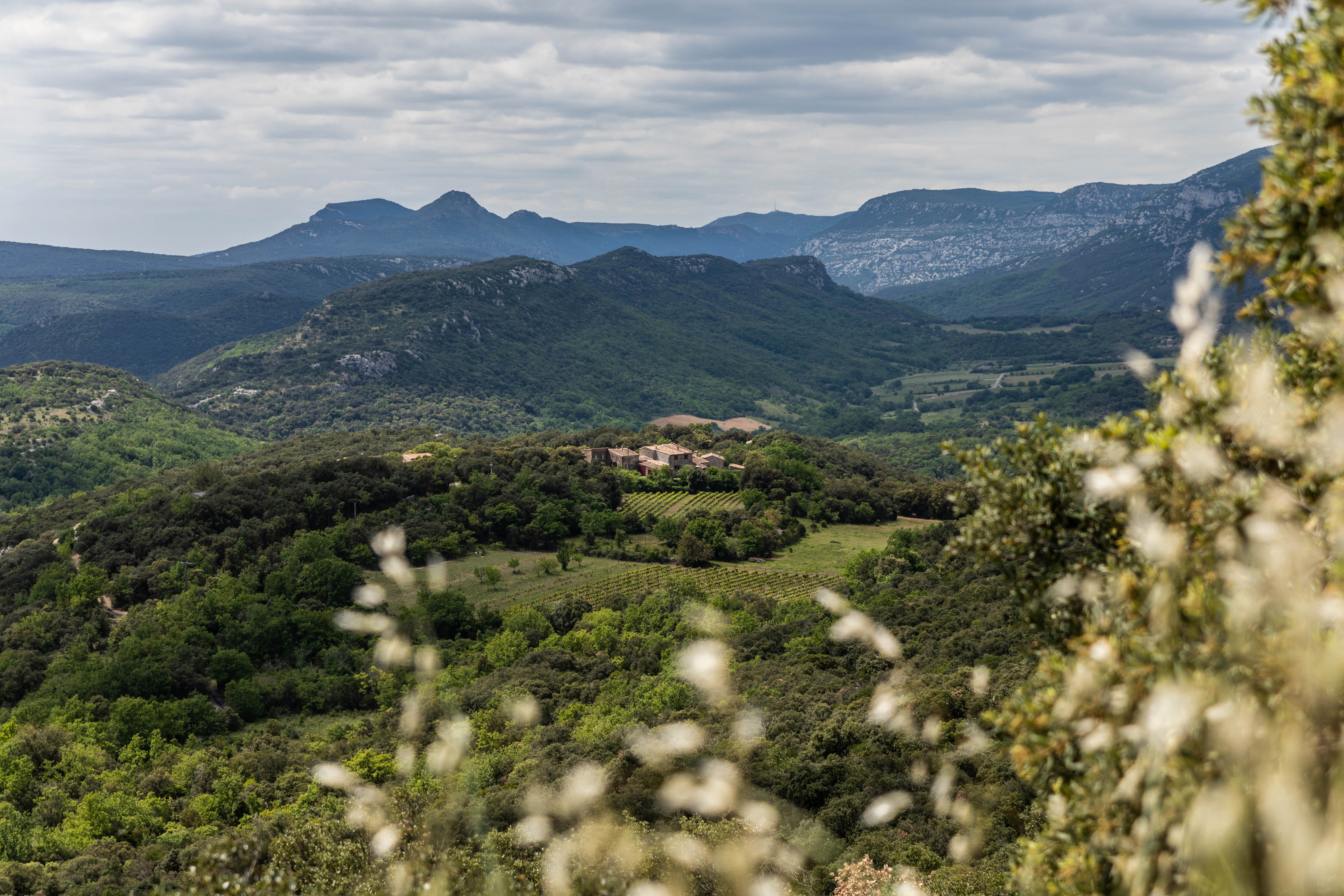 Découvrir les Cévennes en famille : Nos coups de cœur !
