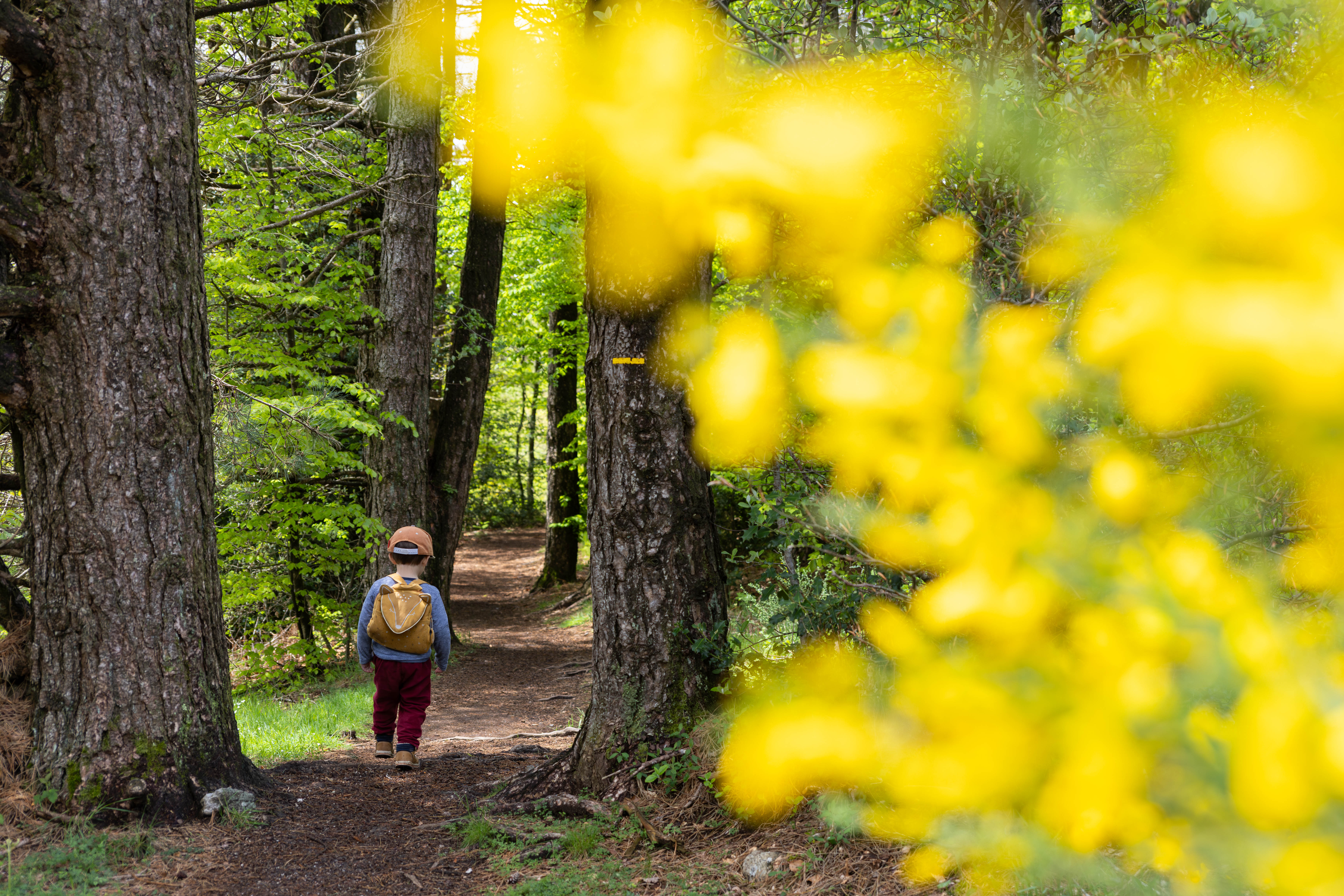 Idées pour un week-end en famille dans le Haut-Languedoc