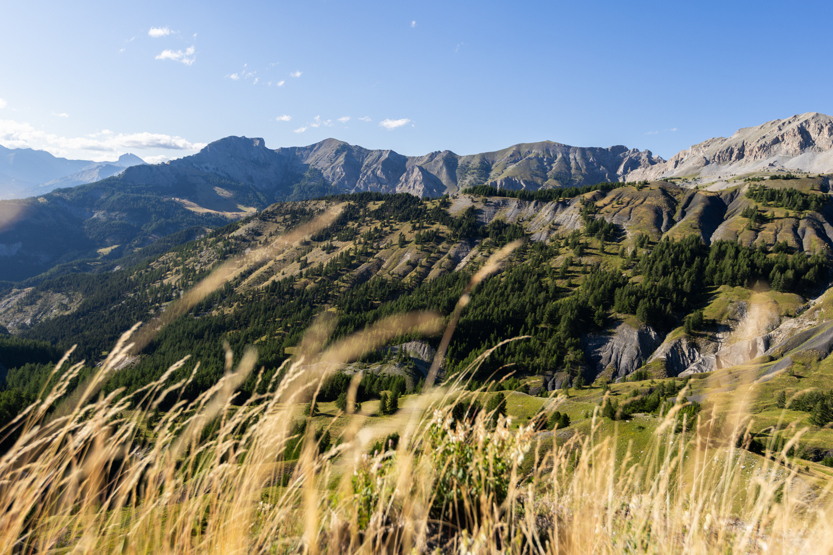 Explorer le Haut-Verdon en famille
